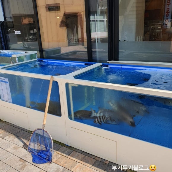 말해모회 이미지