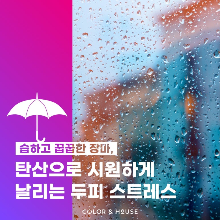 주식회사 앤하우스 이미지