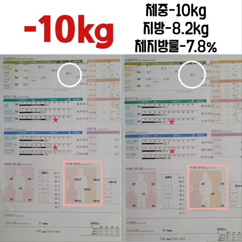 일번피티 이미지