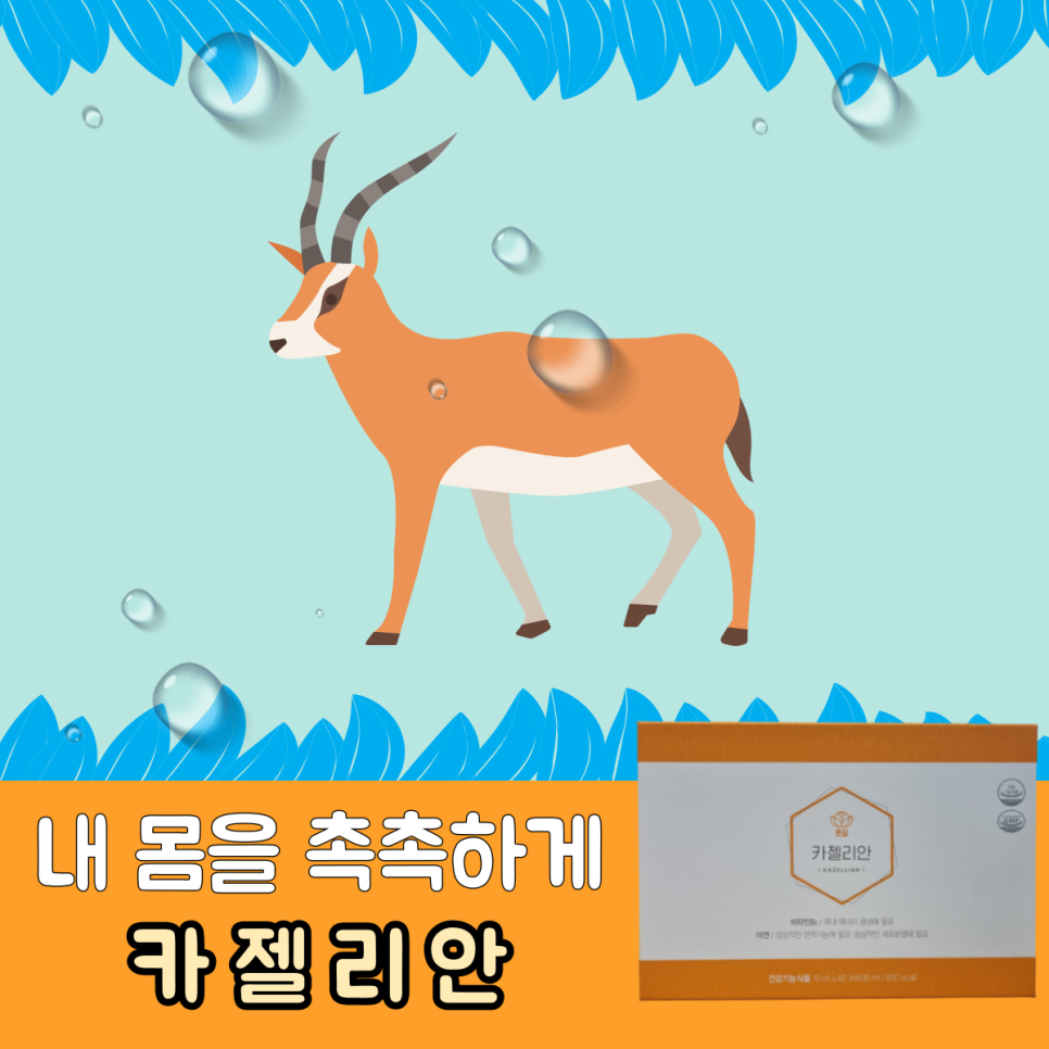 팜코덱스 이미지