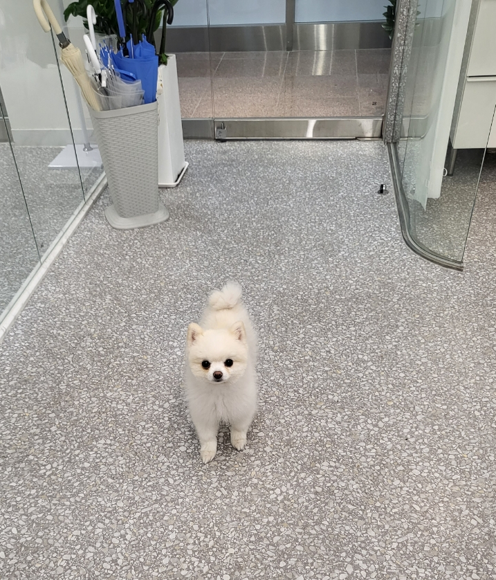 네일레쉬 이미지