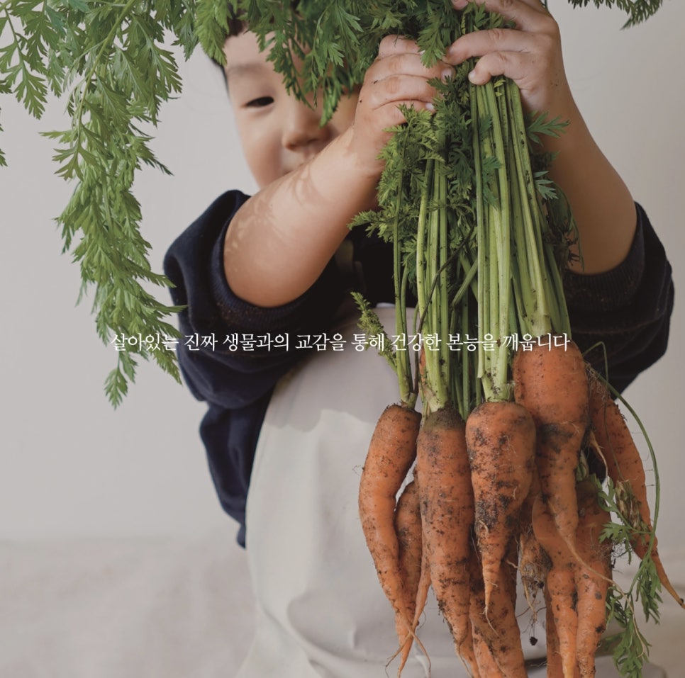 고마워토토인덕원점 이미지