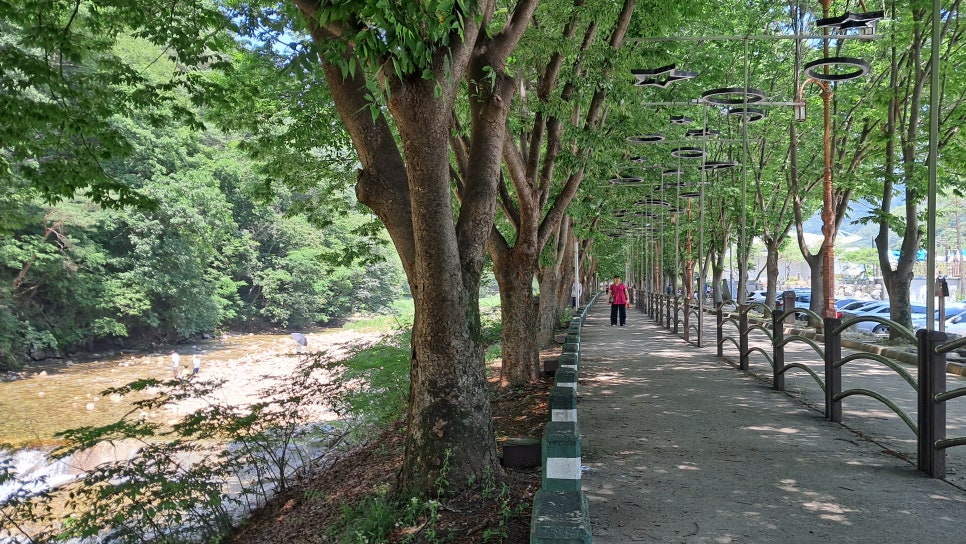 조령휴양림휴게소 이미지