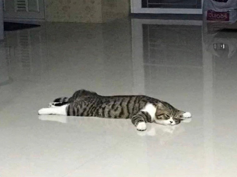 매니멀스모크하우스 이미지