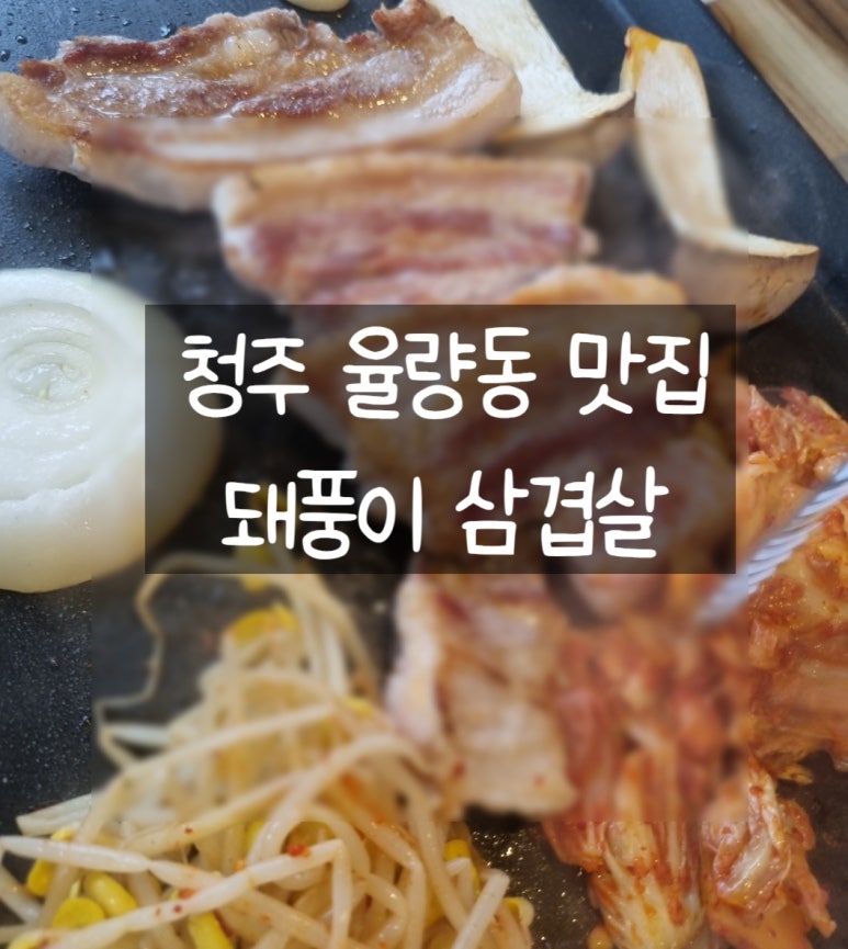 돼풍이 이미지
