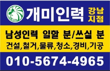 개미건설철거인력 이미지