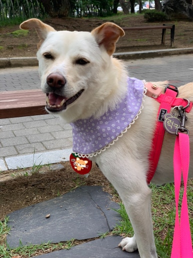 오아공방 이미지