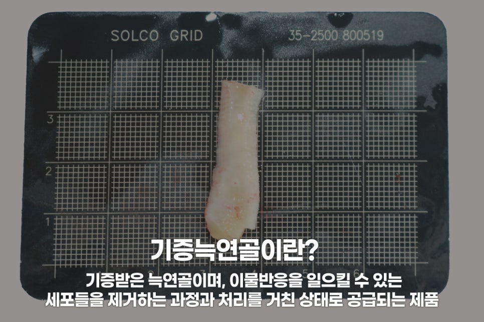 아너스티성형외과의원 이미지