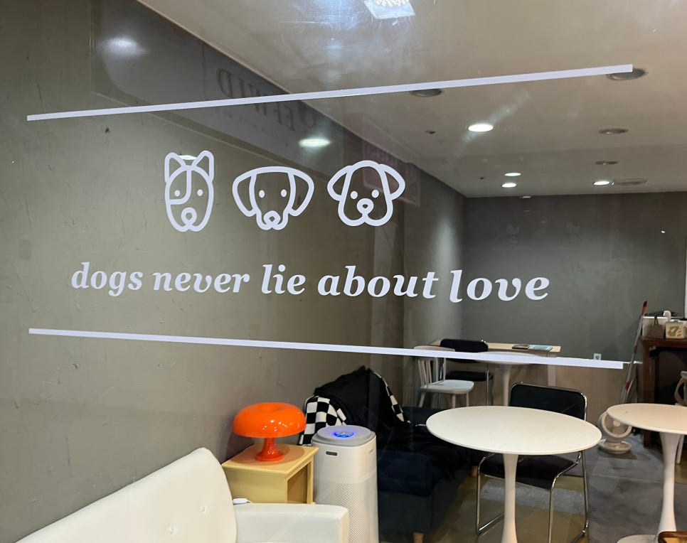 위드에프 이미지