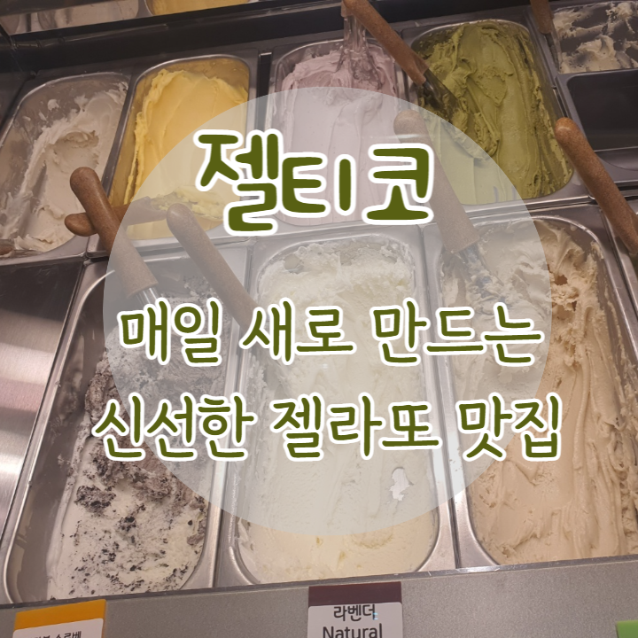 젤티코 이미지