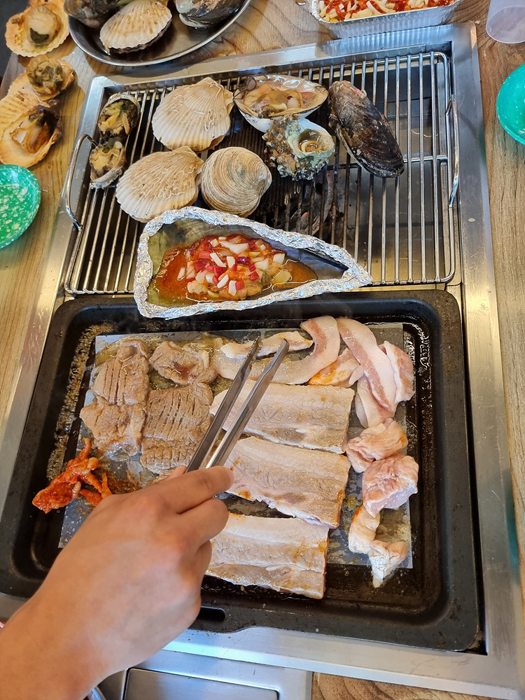 바다나무 이미지