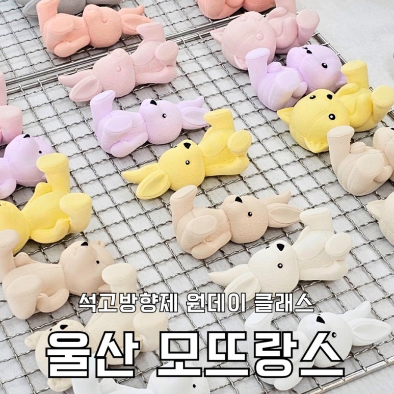 모뜨랑스 이미지