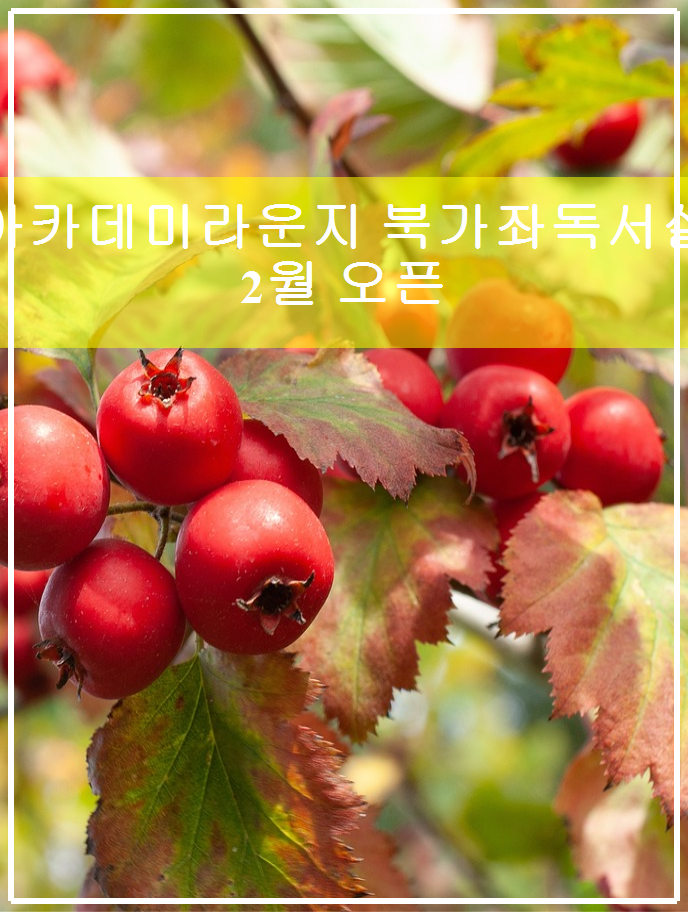 아카데미라운지북가좌독서실 이미지