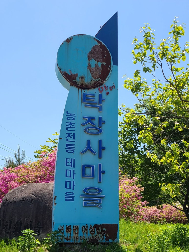 탁장사 이미지