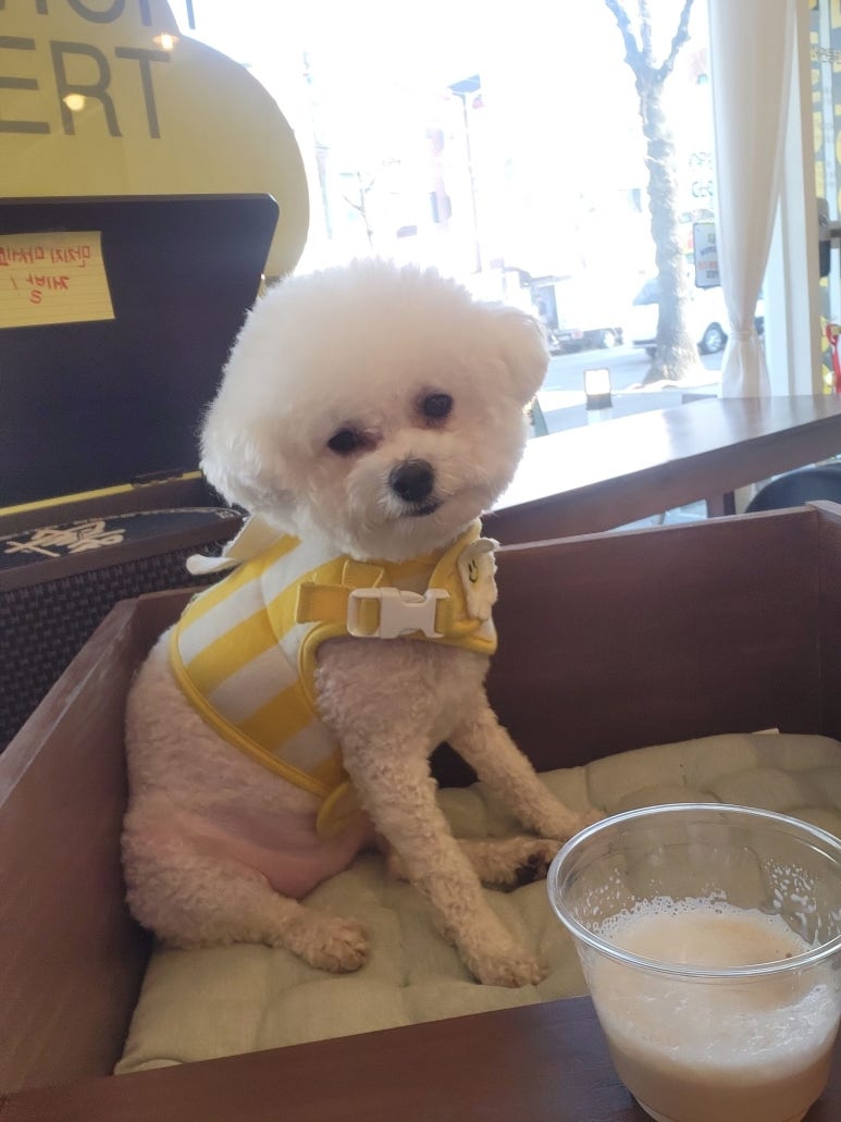 램블러커피 이미지