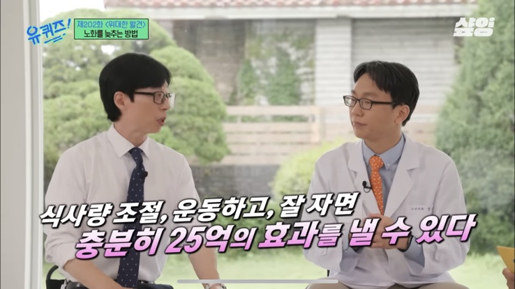 집시테라피 이미지