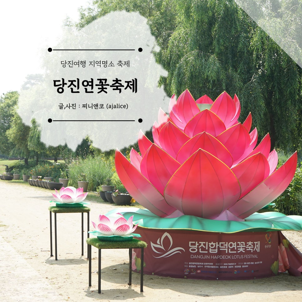 연꽃마을한우 이미지