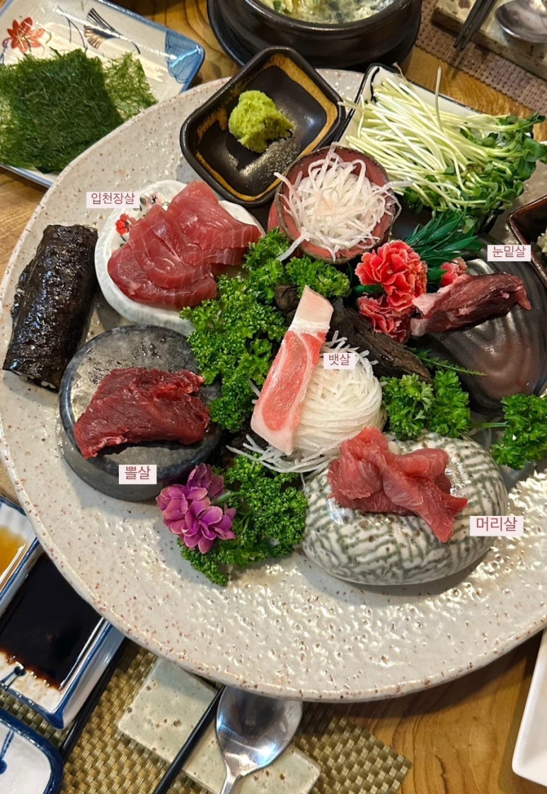 강참치 이미지