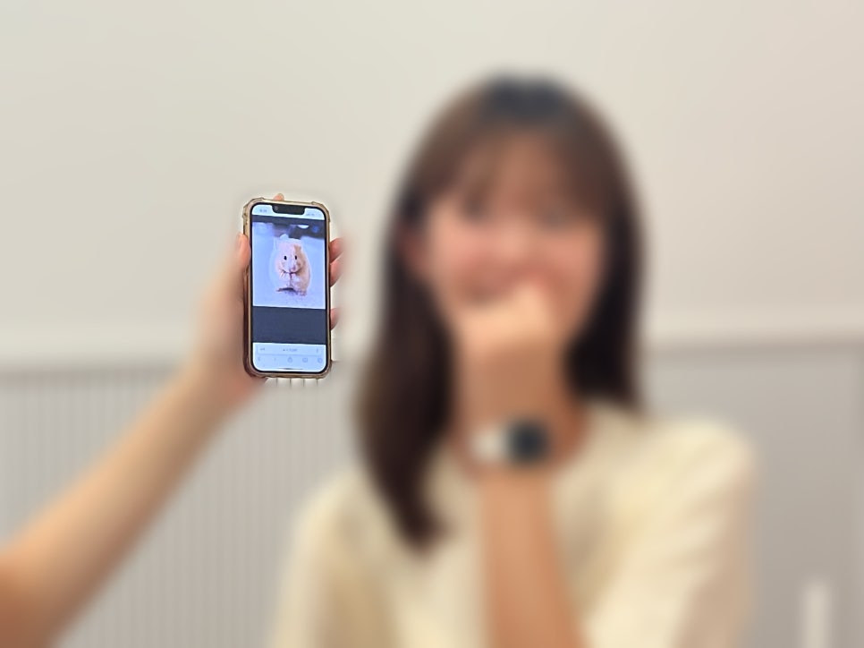 쨈스터 이미지