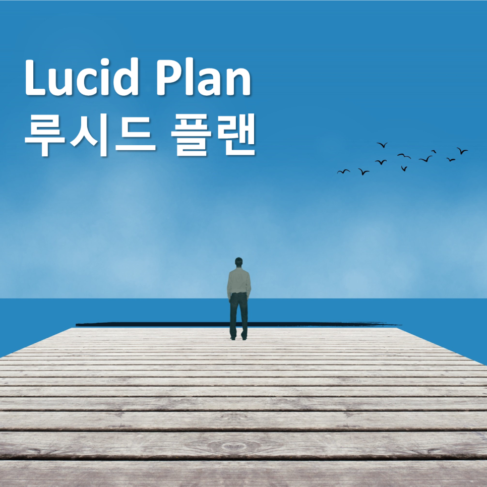 루시드플랜 이미지