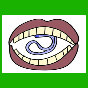 엘튜브 이미지