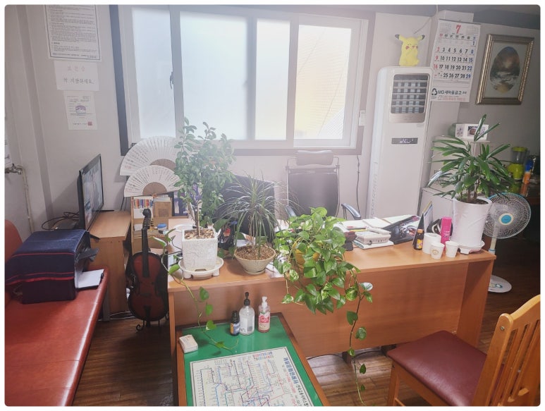 샛별파출뱅크 이미지