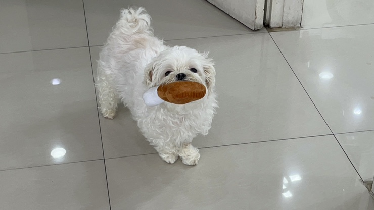퀴즈노스구미원호도량점 이미지