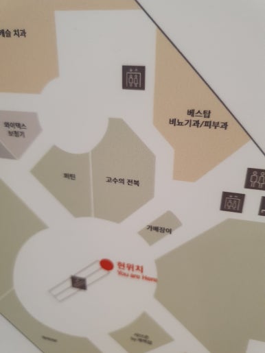 고복고수의전복 이미지
