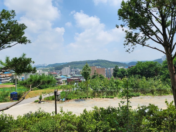 제일약초능이백숙 이미지