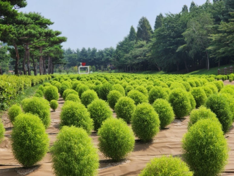 덕산관광농원 이미지