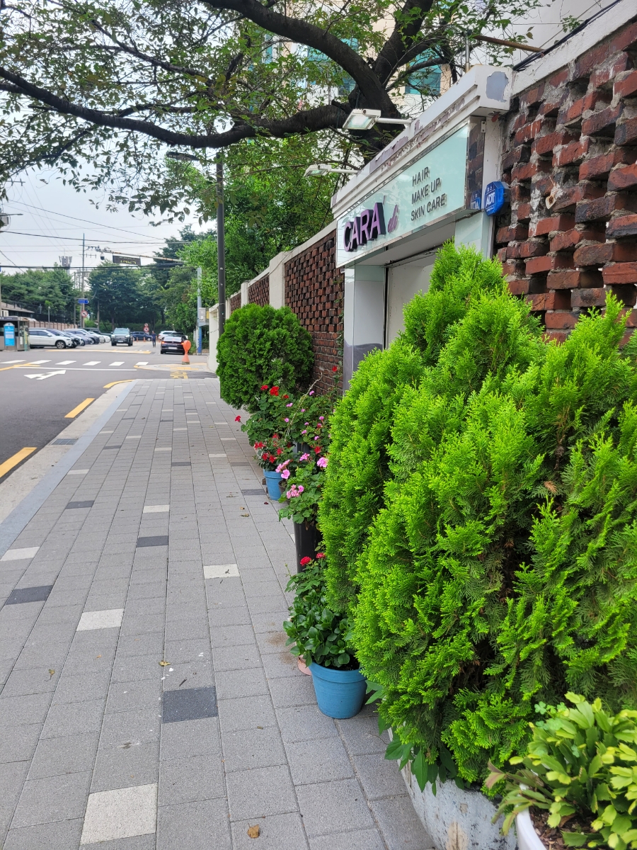 까라디미용실 이미지