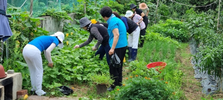 풍국면달성군청점 이미지