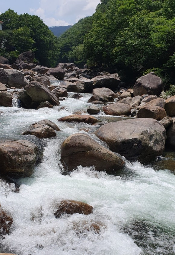 참샘산방 이미지