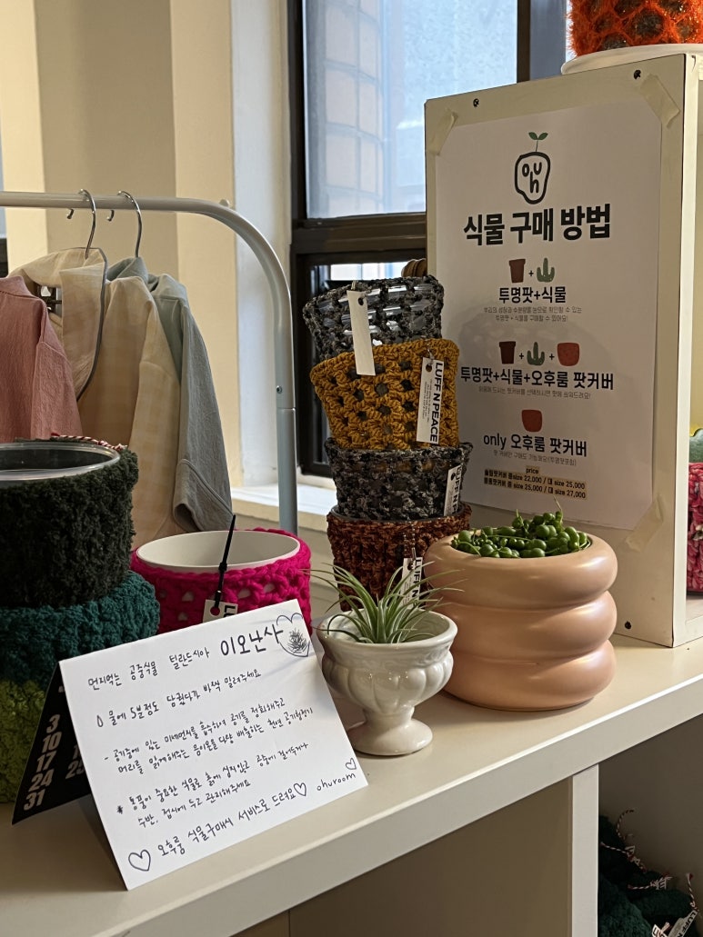 오후룸 이미지