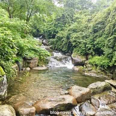 청학동계곡산장 이미지