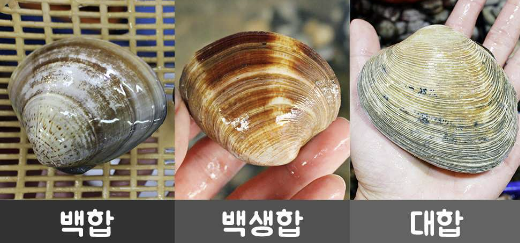 마니호칼국수 이미지