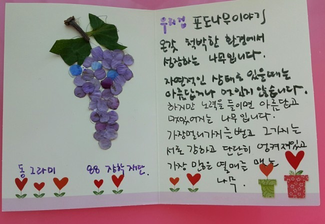 감람화원 이미지