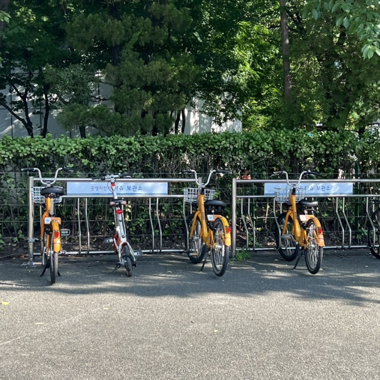 스카이댄스홀 이미지