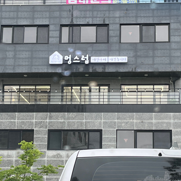 멍스럽 이미지