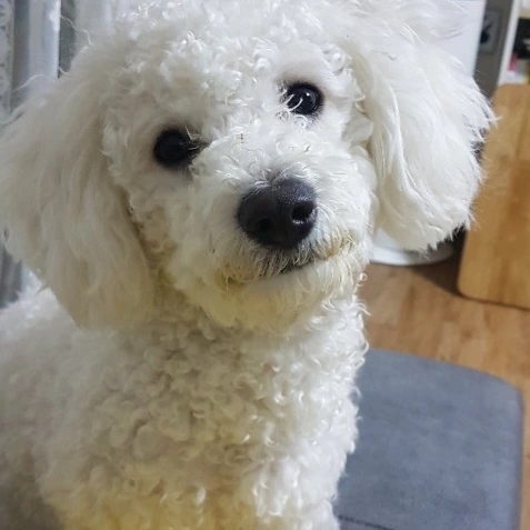 대박이집 이미지
