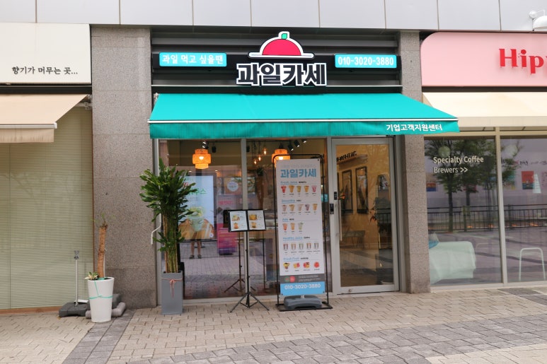 과일카세 이미지