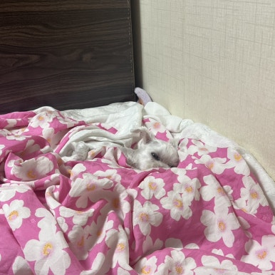 이롭네일 이미지