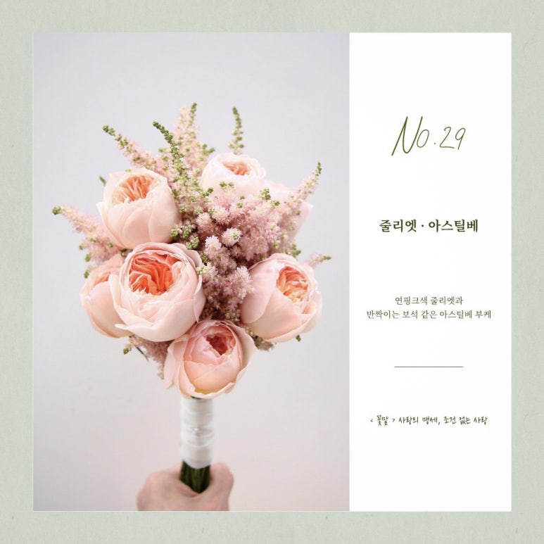 로젠코지 이미지
