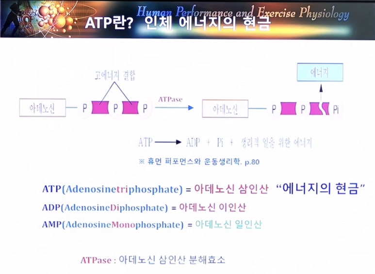 이인에너지 이미지
