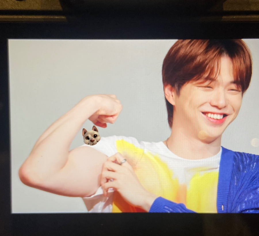 제이제이뮤즈 이미지