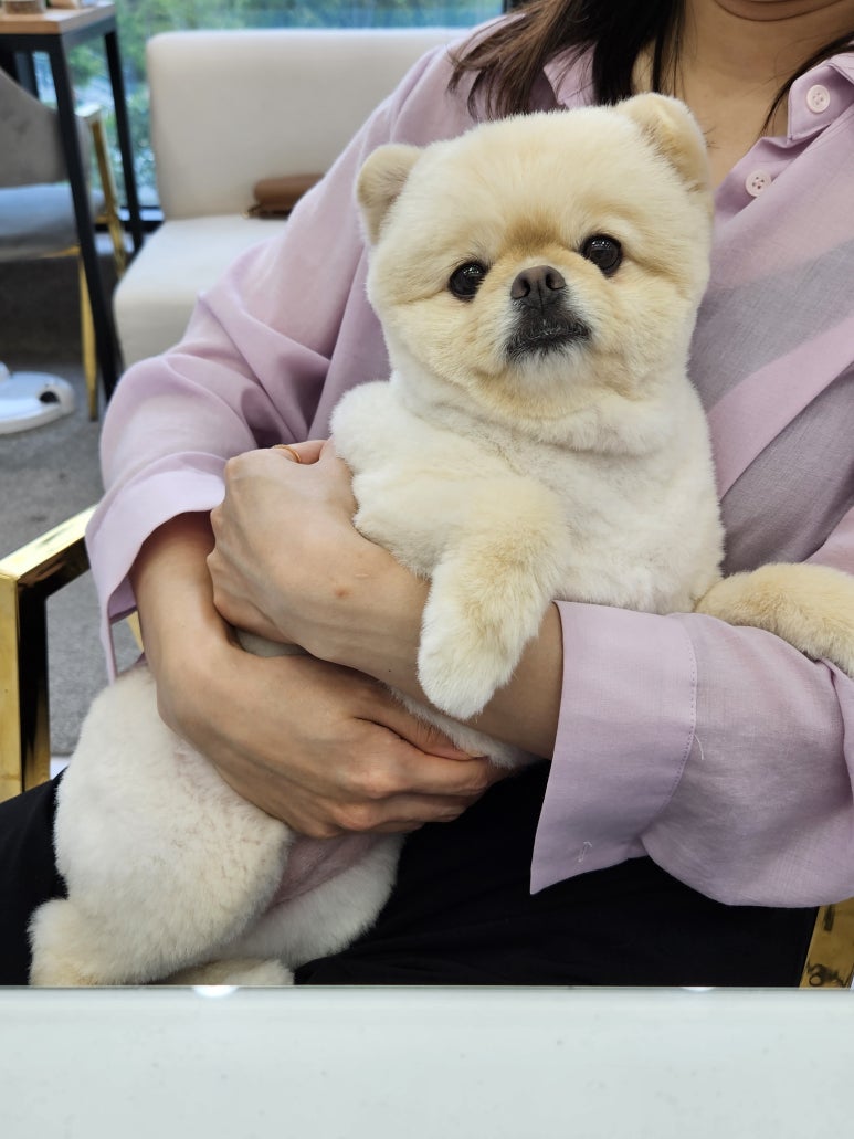 아롱네일 이미지