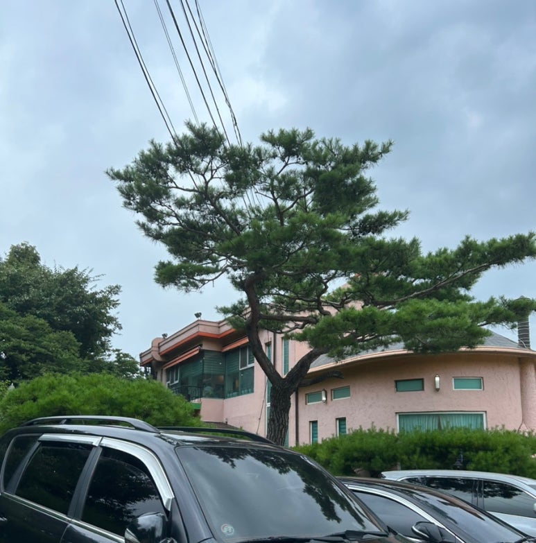 산촌누룽지닭백숙 이미지