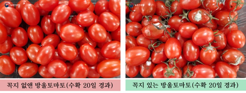 신박사가 이미지