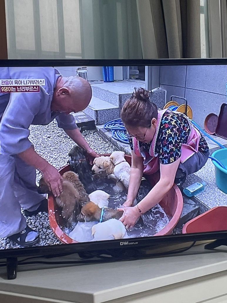 유월폰케이스 이미지