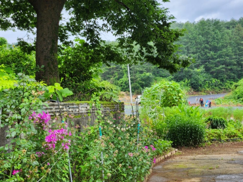 용정소머리곰탕 이미지